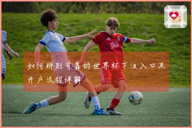 如何辨别可靠的世界杯下注入口及开户流程详解