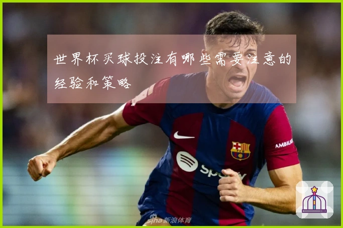 世界杯买球投注有哪些需要注意的经验和策略