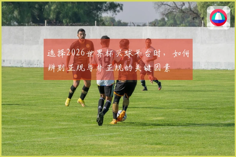 选择2026世界杯买球平台时，如何辨别正规与非正规的关键因素