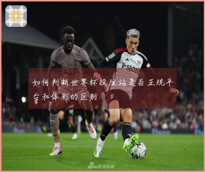 如何判断世界杯投注站是否正规平台和体彩的区别