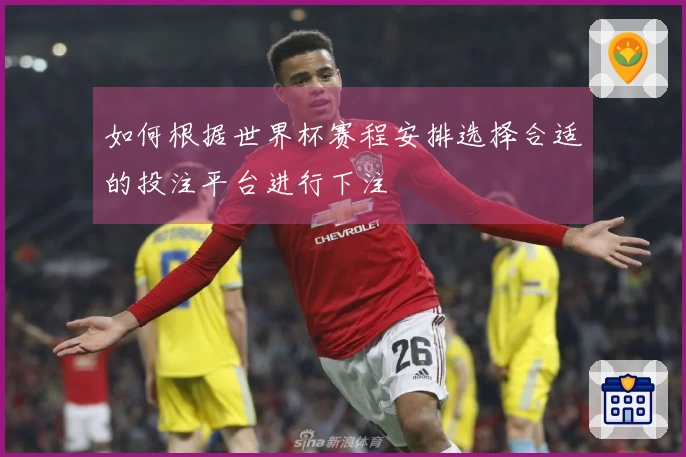 如何根据世界杯赛程安排选择合适的投注平台进行下注