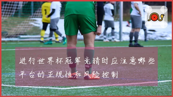 进行世界杯冠军竞猜时应注意哪些平台的正规性和风险控制