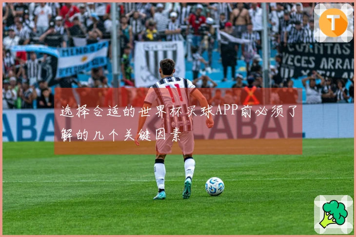 选择合适的世界杯买球APP前必须了解的几个关键因素