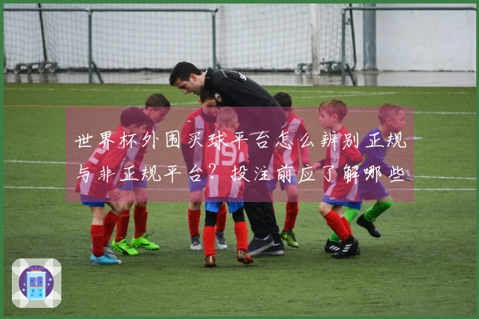 世界杯外围买球平台怎么辨别正规与非正规平台？投注前应了解哪些流程和注意事项