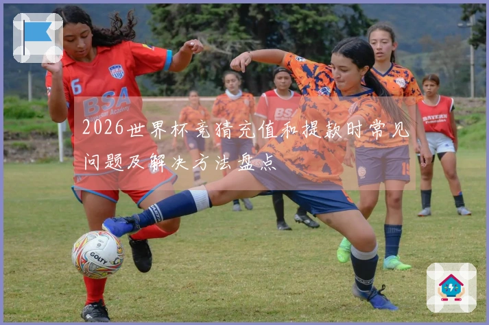 2026世界杯竞猜充值和提款时常见问题及解决方法盘点