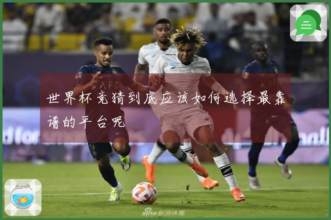 世界杯竞猜到底应该如何选择最靠谱的平台呢