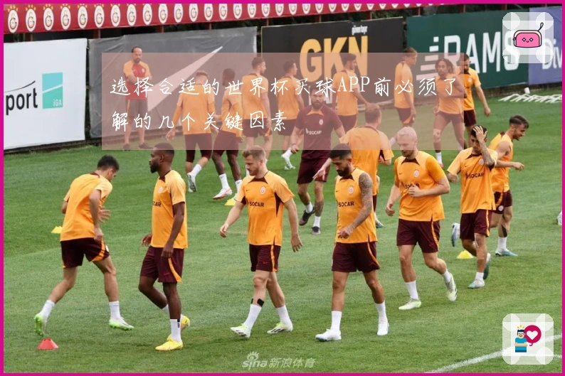 选择合适的世界杯买球APP前必须了解的几个关键因素