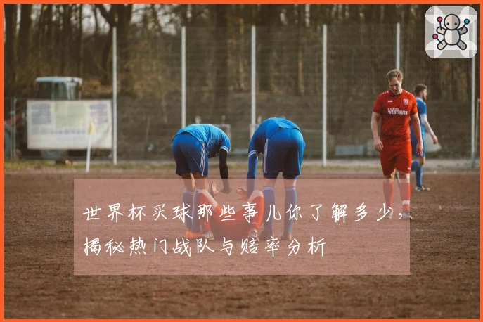 世界杯买球那些事儿你了解多少，揭秘热门战队与赔率分析