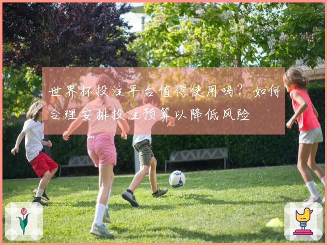 世界杯投注平台值得使用吗？如何合理安排投注预算以降低风险