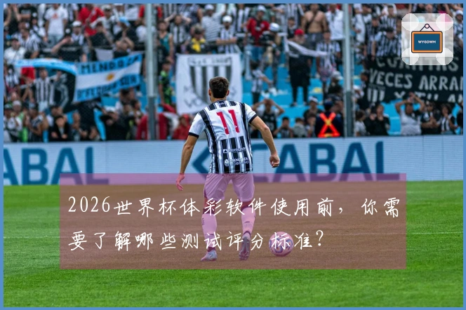 2026世界杯体彩软件使用前，你需要了解哪些测试评分标准？