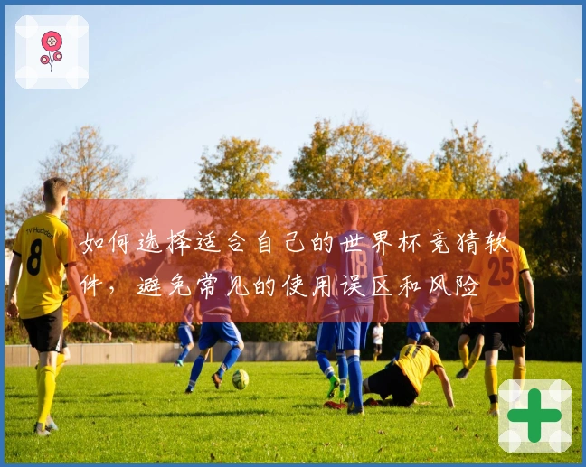 如何选择适合自己的世界杯竞猜软件，避免常见的使用误区和风险