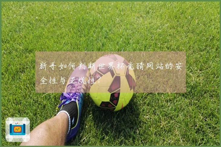 新手如何判断世界杯竞猜网站的安全性与正规性？