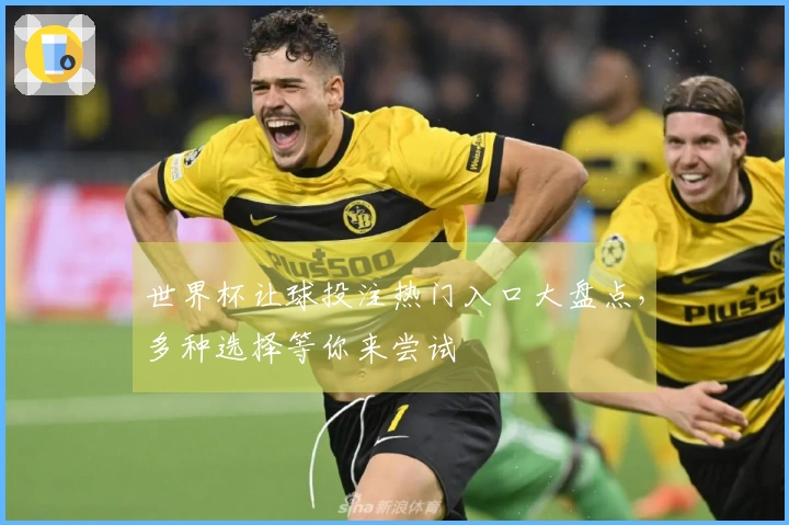 世界杯让球投注热门入口大盘点，多种选择等你来尝试