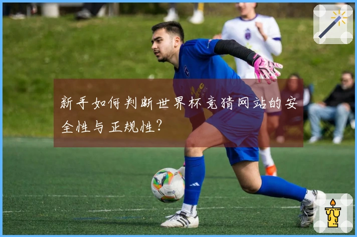 新手如何判断世界杯竞猜网站的安全性与正规性？