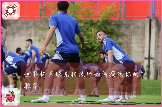 世界杯买球竞猜技巧如何提高你的胜率