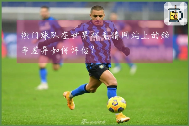 热门球队在世界杯竞猜网站上的赔率差异如何评估？