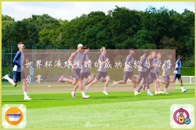 世界杯滚球竞猜的成功经验与心得分享