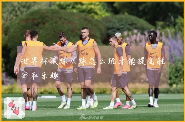 世界杯滚球买球怎么玩才能提高胜率和乐趣