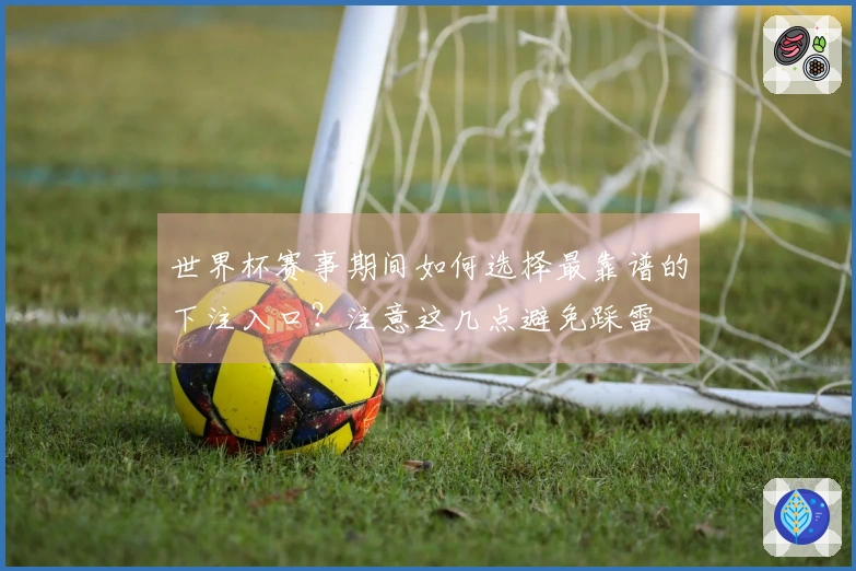 世界杯赛事期间如何选择最靠谱的下注入口？注意这几点避免踩雷