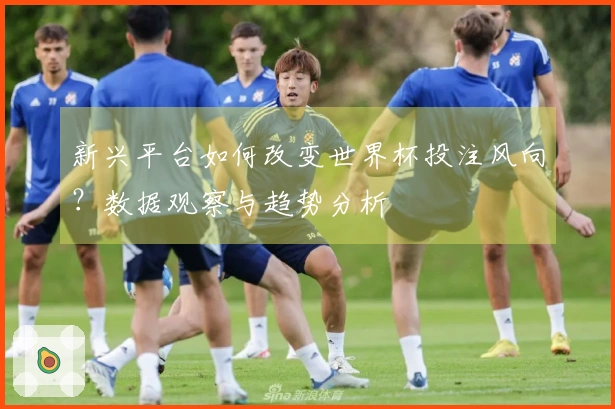 新兴平台如何改变世界杯投注风向？数据观察与趋势分析