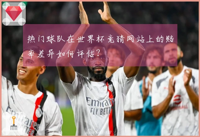 热门球队在世界杯竞猜网站上的赔率差异如何评估？