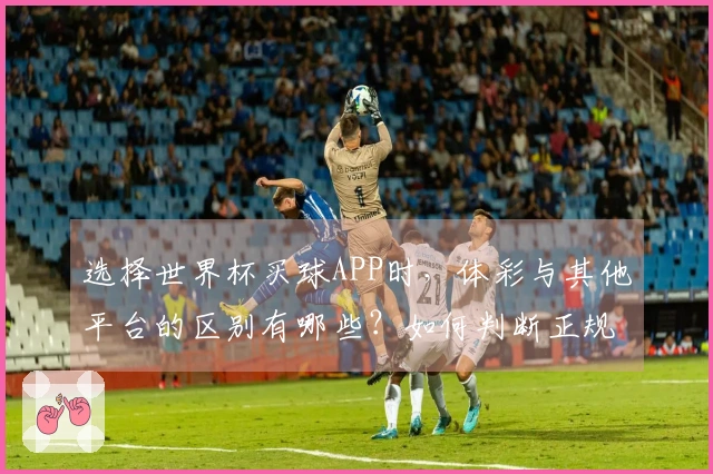 选择世界杯买球APP时，体彩与其他平台的区别有哪些？如何判断正规性？