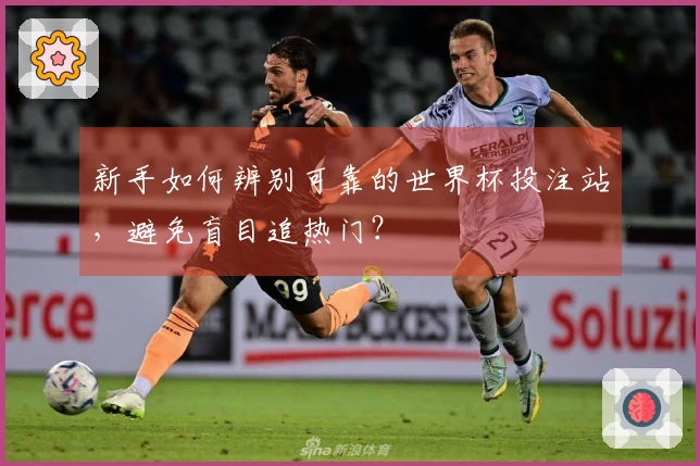 新手如何辨别可靠的世界杯投注站，避免盲目追热门？