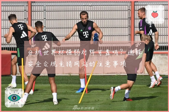 分析世界杯强弱对阵可靠吗？选择安全合规竞猜网站的注意事项