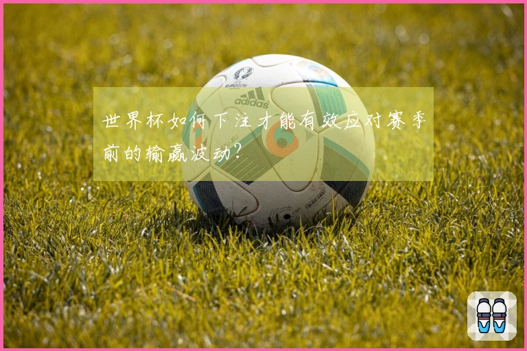 世界杯如何下注才能有效应对赛季前的输赢波动？