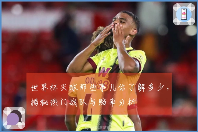 世界杯买球那些事儿你了解多少，揭秘热门战队与赔率分析