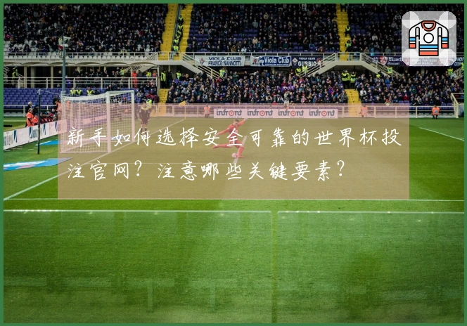 新手如何选择安全可靠的世界杯投注官网？注意哪些关键要素？