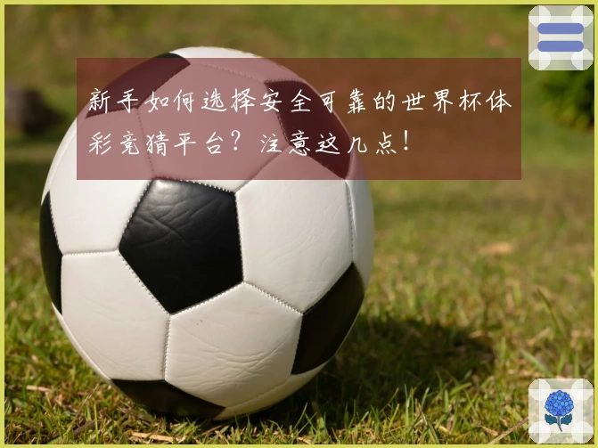 新手如何选择安全可靠的世界杯体彩竞猜平台？注意这几点！