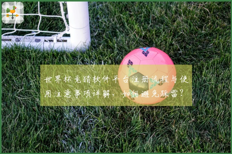 世界杯竞猜软件平台注册流程与使用注意事项详解，如何避免踩雷？