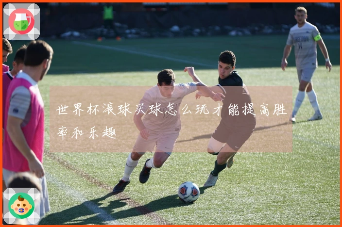 世界杯滚球买球怎么玩才能提高胜率和乐趣