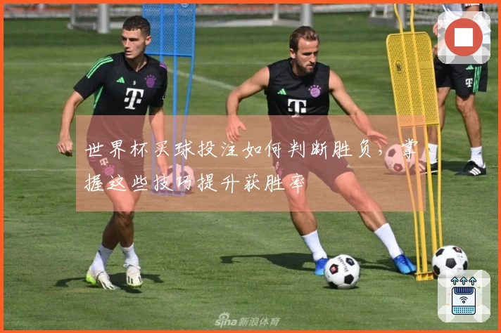 世界杯买球投注如何判断胜负，掌握这些技巧提升获胜率