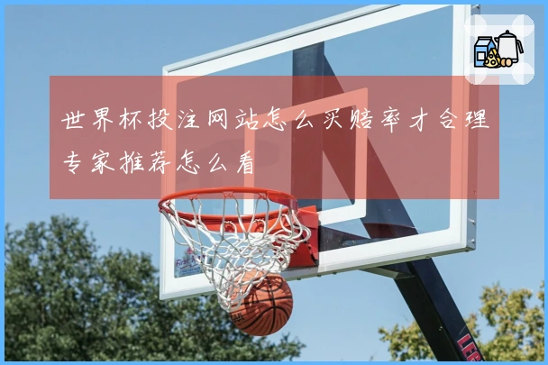 世界杯投注网站怎么买赔率才合理专家推荐怎么看
