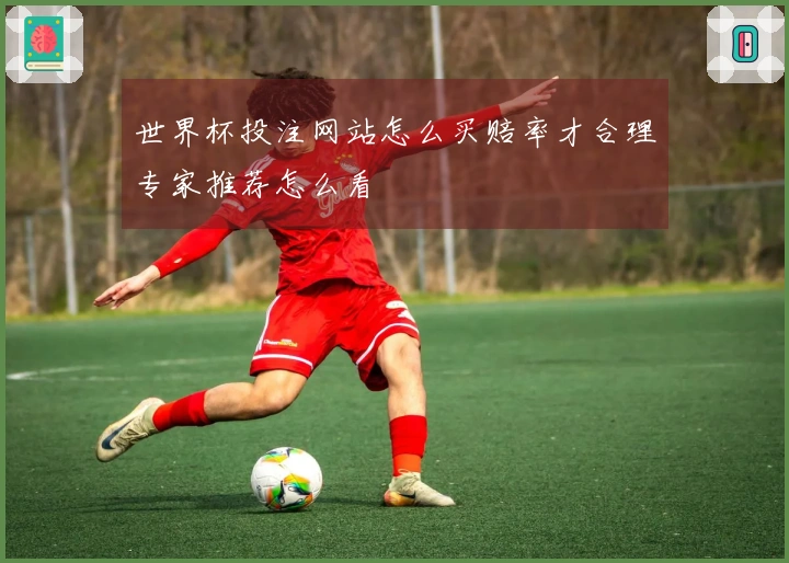 世界杯投注网站怎么买赔率才合理专家推荐怎么看